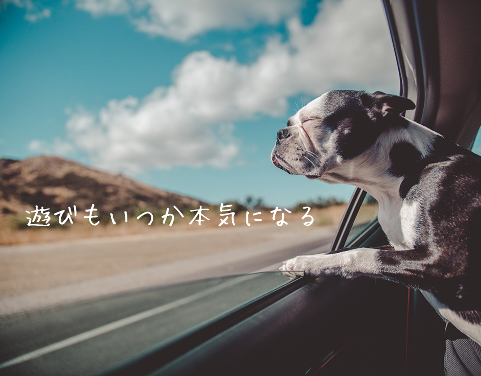 遊びもいつか本気になる