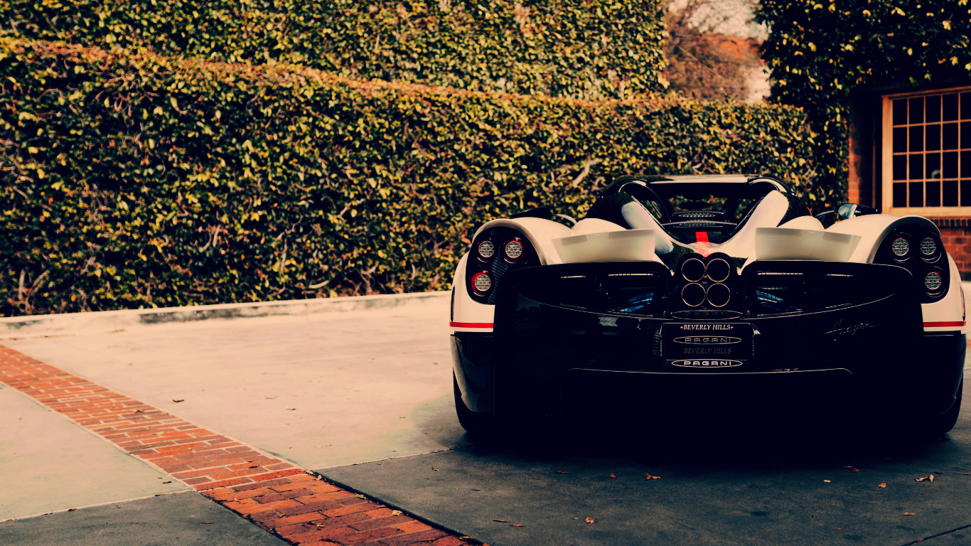 遊びもいつか本気になる